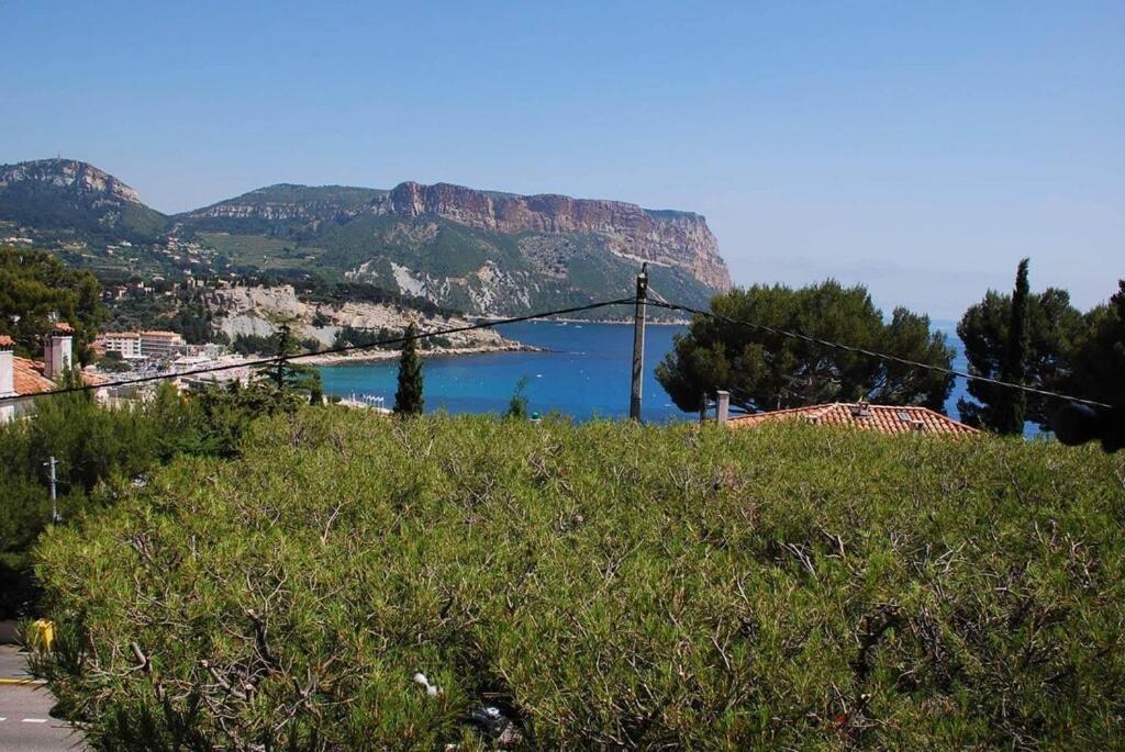 Belle Vue Mer Apartment